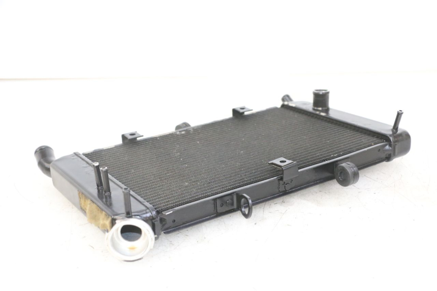 photo de RADIATORE YAMAHA XJ6 ABS 600 (2008 - 2016) - Primo piano tecnico