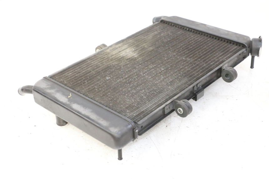 photo de RADIATORE YAMAHA XJ6 ABS 600 (2008 - 2016) - Vista d'insieme del prodotto