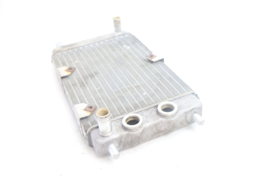 photo de RADIATORE YAMAHA YP MAJESTY 125 (2007 - 2010) - Caratteristiche distintive