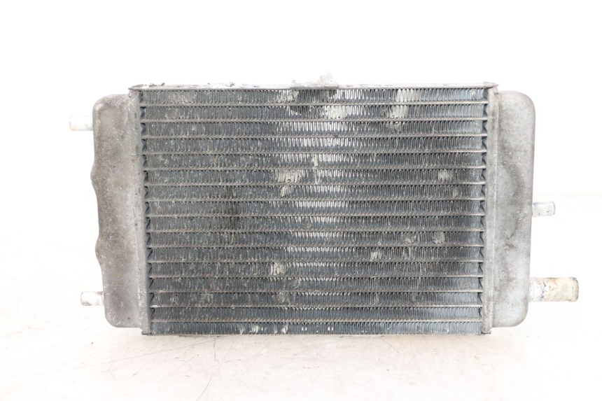photo de RADIATORE YAMAHA YP MAJESTY 125 (2002 - 2006) - Vista principale