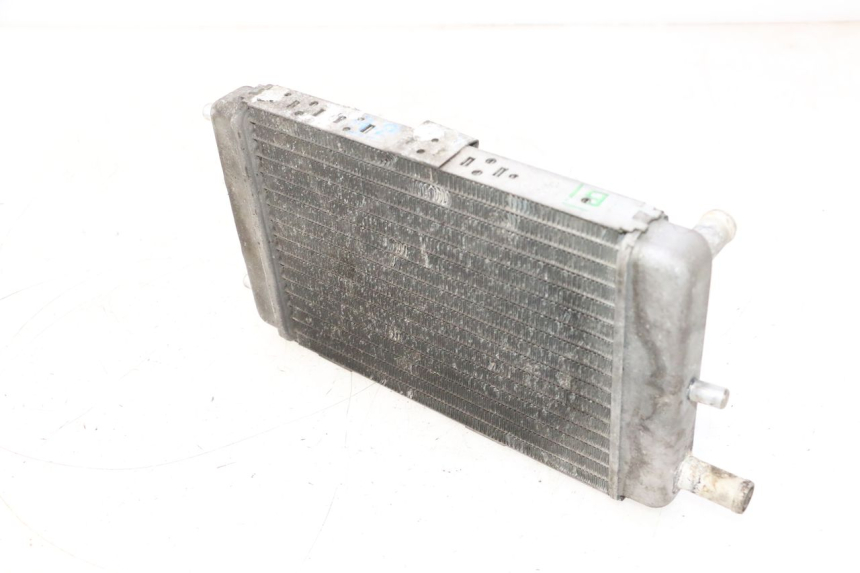 photo de RADIATORE YAMAHA YP MAJESTY 125 (2002 - 2006) - Caratteristiche distintive