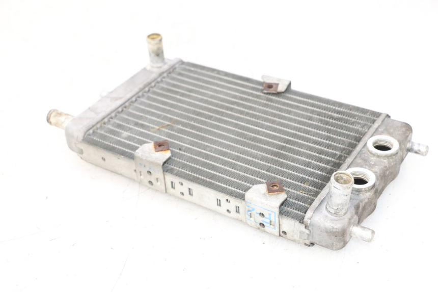 photo de RADIATORE YAMAHA YP MAJESTY 125 (2002 - 2006) - Stato della superficie e materiale