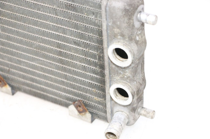 photo de RADIATORE YAMAHA YP MAJESTY 125 (2002 - 2006) - Marcature e riferimenti originali