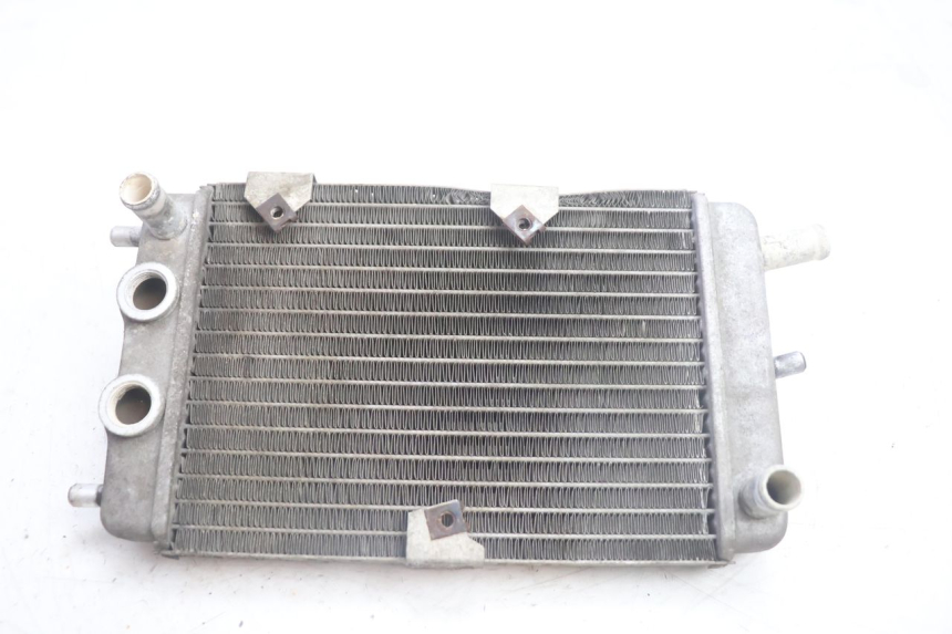 photo de RADIATORE YAMAHA YP MAJESTY 125 (2002 - 2006) - Vista principale