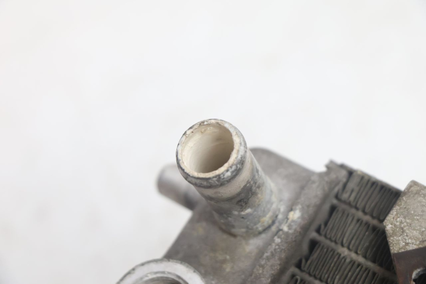 photo de RADIATORE YAMAHA YP MAJESTY 125 (2002 - 2006) - Dettaglio del componente