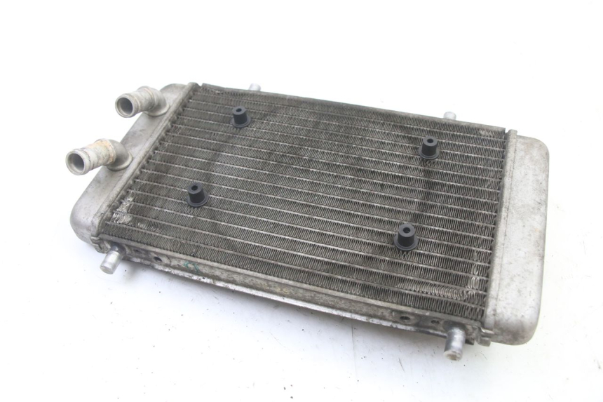 photo de RADIATORE YAMAHA YP X-MAX XMAX 400 (2014 - 2017) - Zoom sullo stato d'uso