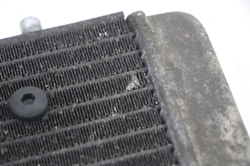 photo de RADIATORE YAMAHA YP X-MAX XMAX 400 (2014 - 2017) - Vista d'insieme del prodotto