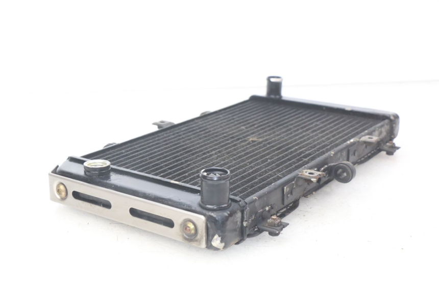 photo de RADIATORE KAWASAKI Z S 750 (2003 - 2006) - Altra angolazione