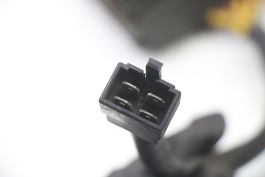 photo de REGOLATORE GILERA NEXUS 300 (2008 - 2013) - Primo piano tecnico