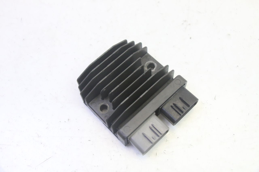 photo de REGOLATORE BMW R GS 1250 (2021 - 2024) - Vista principale