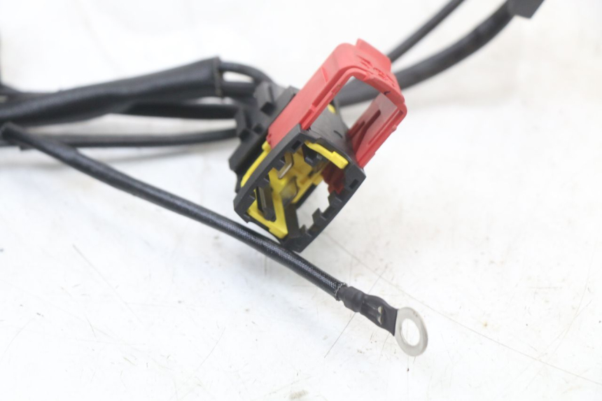 photo de REGOLATORE ROYAL ENFIELD SCRAM 411 (2022 - 2024) - Dettagli dei punti di fissaggio