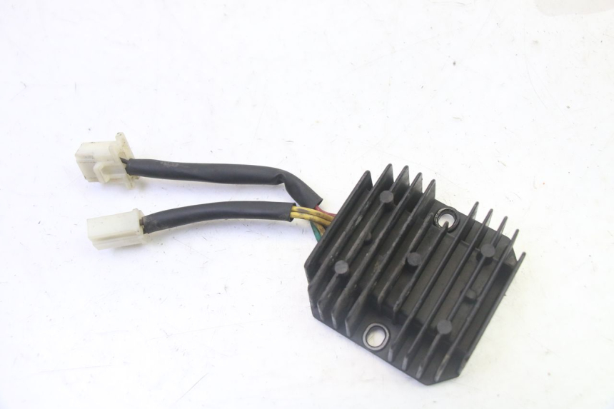 photo de REGOLATORE PEUGEOT TWEET PRO CARGO 50 (2018 - 2022) - Vista principale