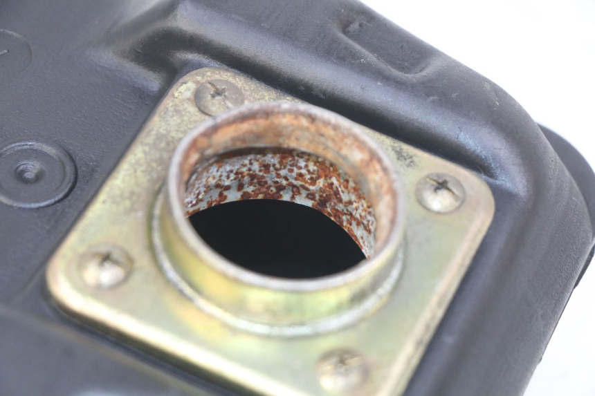 photo de SERBATOIO CARBURANTE PGO BIG MAX 50 (2001 - 2009) - Vista d'insieme del prodotto