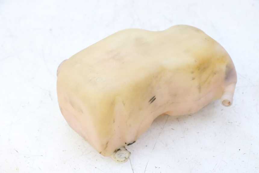 photo de OLIO PEUGEOT SPEEDAKE 50 (1995 - 1997) - Dettaglio del componente