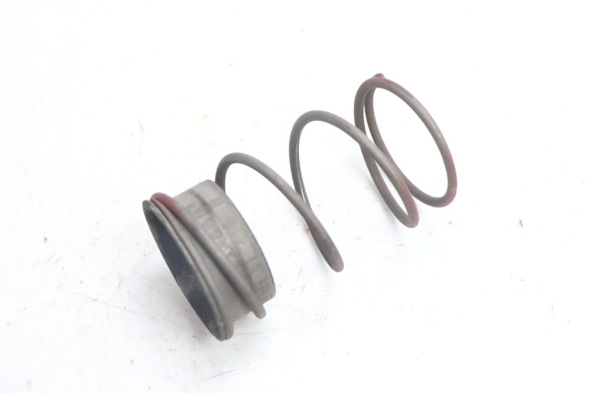 photo de MOLLA FRIZIONE PEUGEOT BUXY 50 (1993 - 1998) - Vista principale