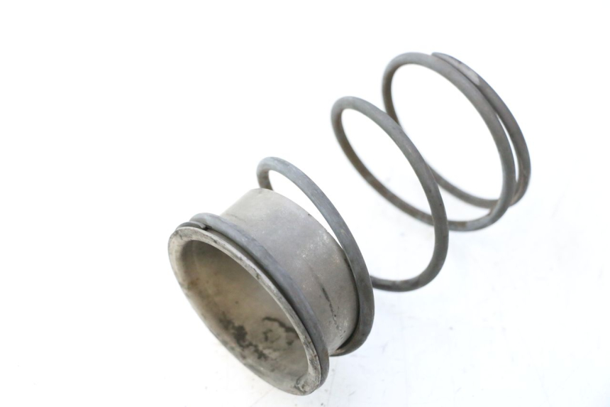 photo de MOLLA FRIZIONE PEUGEOT LUDIX 50 (2005 - 2007) - Dettaglio del componente