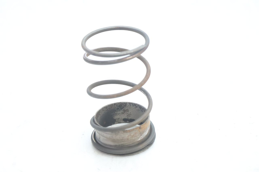 photo de MOLLA FRIZIONE PEUGEOT SPEEDFIGHT 2 AC 50 (2000 - 2009) - Dettaglio del componente