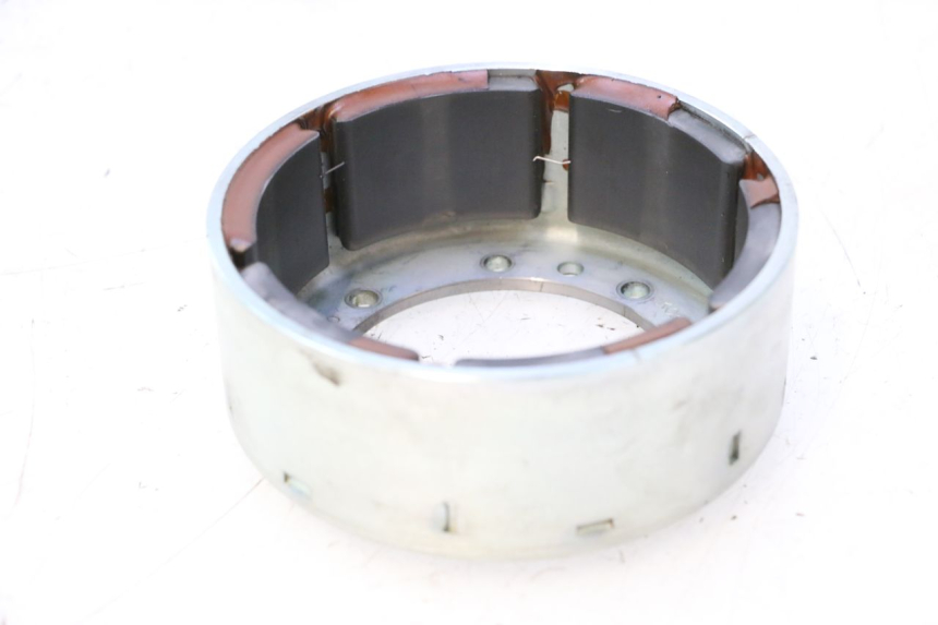 photo de VOLANO DUCATI SS IE DS CARENEE 1000 (2002 - 2006) - Dettaglio del componente