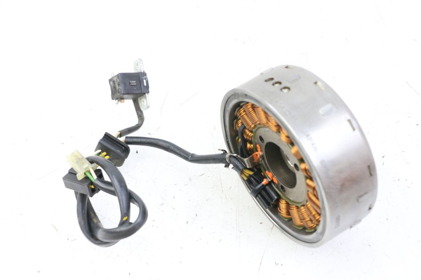 photo de ROTOR STATOR SUZUKI BURGMAN 125 (2007 - 2014) - Dettaglio del componente