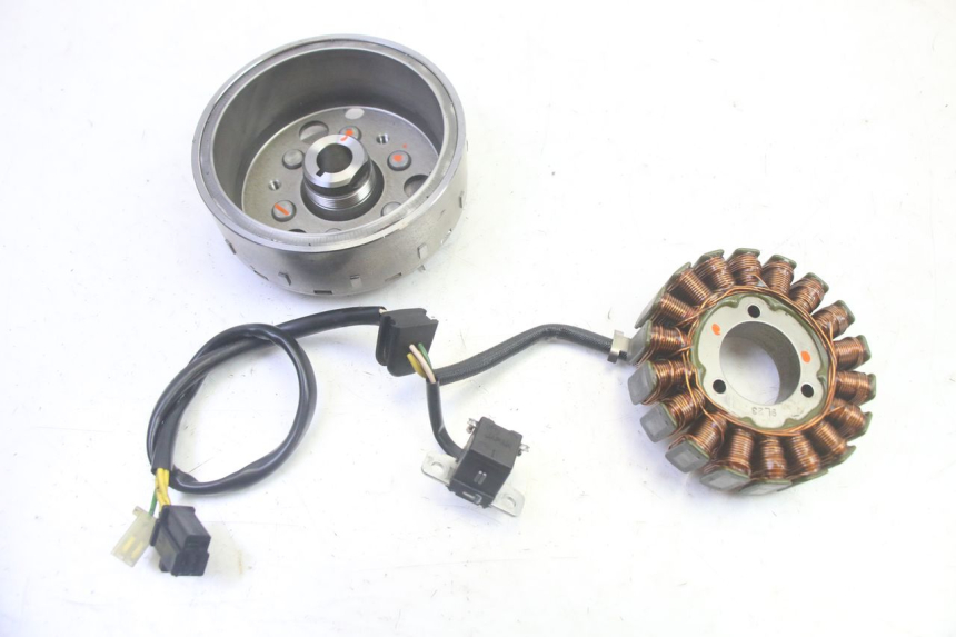 photo de ROTOR STATOR SUZUKI BURGMAN 125 (2007 - 2014) - Dettaglio del componente