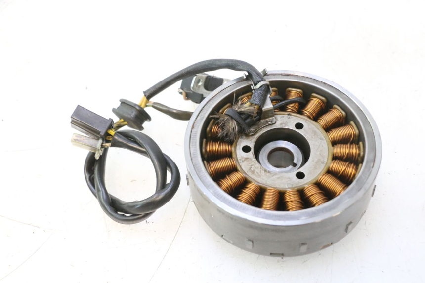 photo de ROTOR STATOR SUZUKI BURGMAN 125 (2007 - 2014) - Zoom sullo stato d'uso