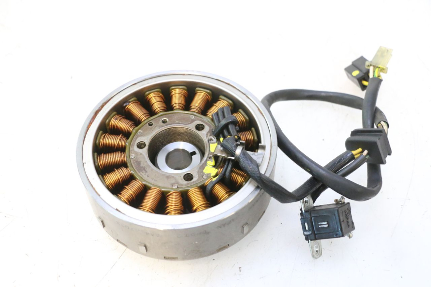 photo de ROTOR STATOR SUZUKI BURGMAN 125 (2007 - 2014) - Dettaglio del componente