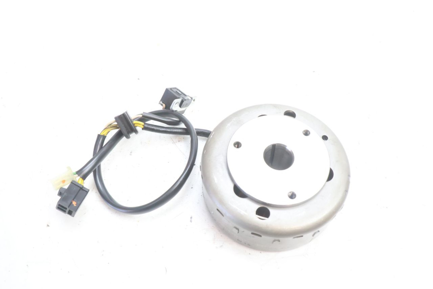 photo de ROTOR STATOR SUZUKI BURGMAN 125 (2007 - 2014) - Dettaglio del componente