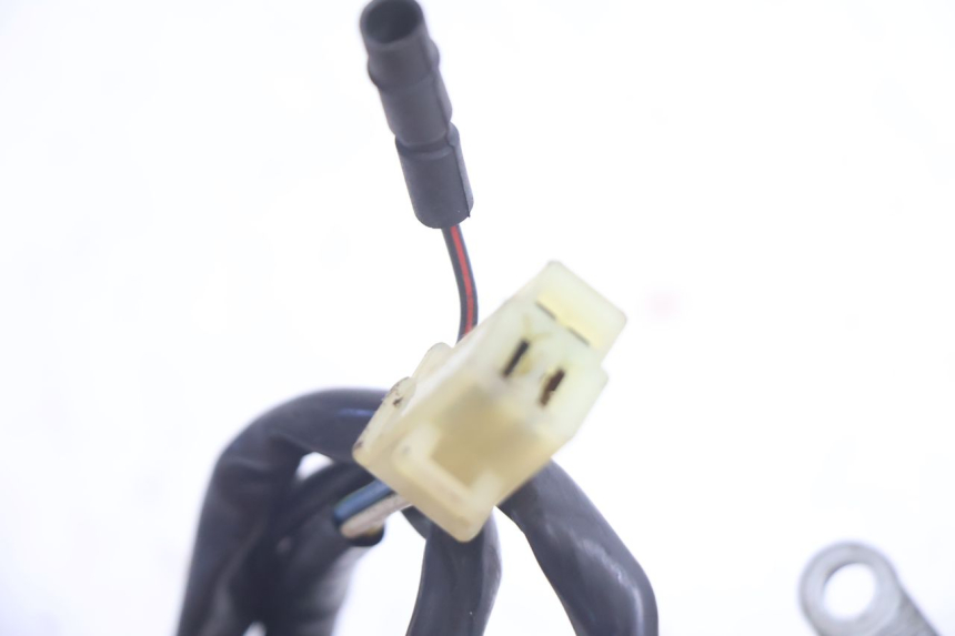 photo de ROTOR STATOR PEUGEOT BUXY 50 (1993 - 1998) - Caratteristiche distintive