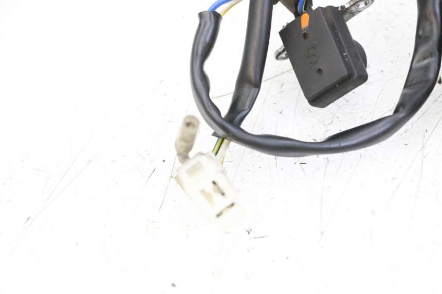 photo de STATORE LONGJIA DIGITA 4T 50 (2019 - 2022) - Dettagli dei punti di fissaggio