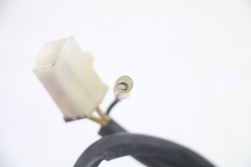 photo de STATORE LONGJIA DIGITA 4T 50 (2019 - 2022) - Altra vista dell'articolo