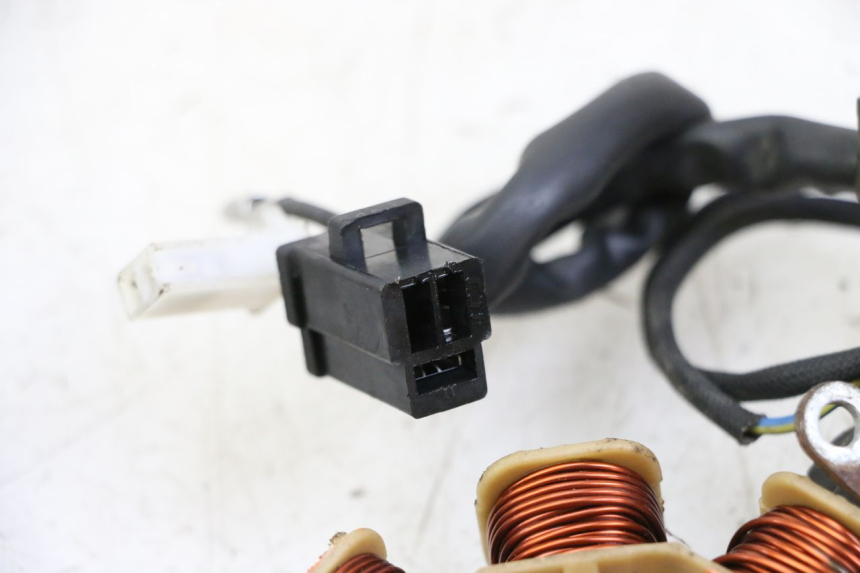 photo de ROTOR STATOR JM MOTORS EVOLIS 4T 50 (2018 - 2022) - Vista d'insieme del prodotto