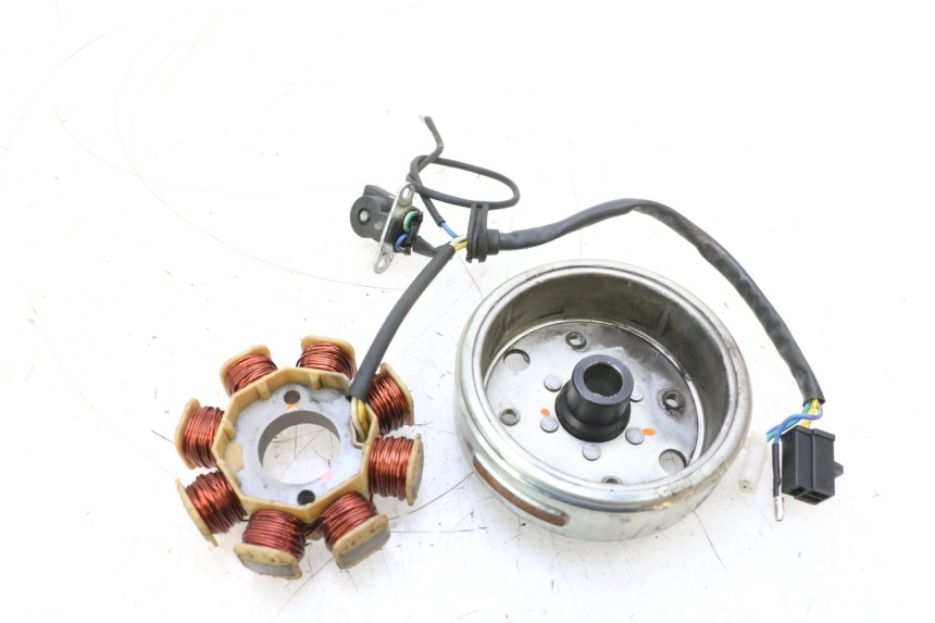 photo de ROTOR STATOR JM MOTORS EVOLIS 4T 50 (2018 - 2022) - Dettaglio del componente