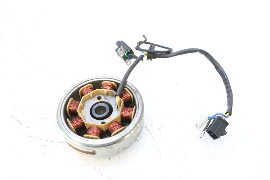 photo de ROTOR STATOR JM MOTORS EVOLIS 4T 50 (2018 - 2022) - Altra angolazione