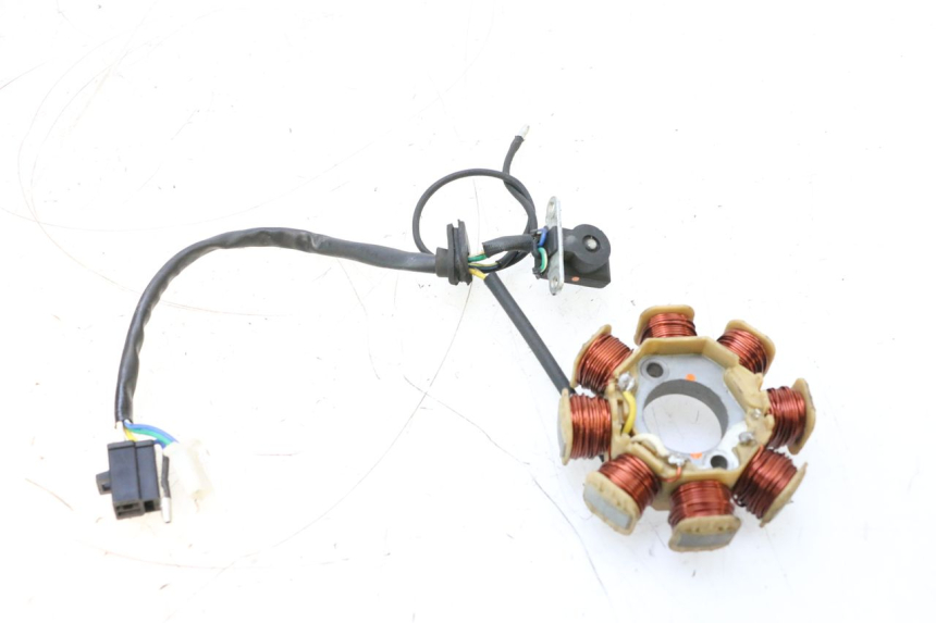 photo de ROTOR STATOR JM MOTORS EVOLIS 4T 50 (2018 - 2022) - Primo piano tecnico