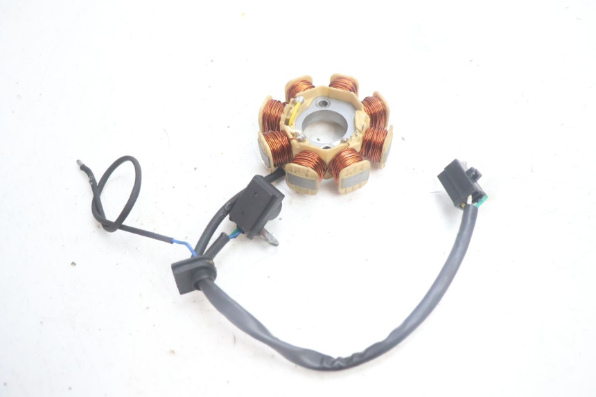 photo de ROTOR STATOR JM MOTORS EVOLIS 4T 50 (2018 - 2022) - Altra angolazione