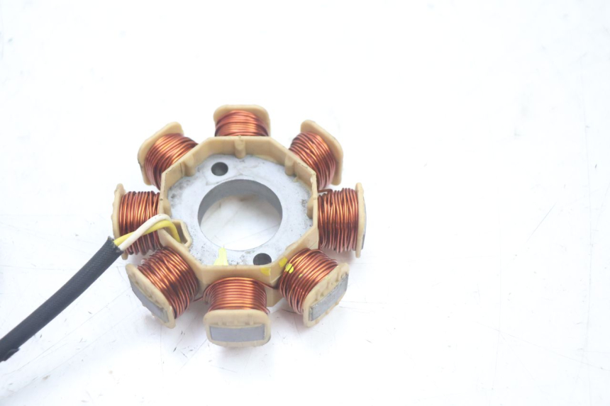 photo de ROTOR STATOR JM MOTORS EVOLIS 4T 50 (2018 - 2022) - Primo piano tecnico