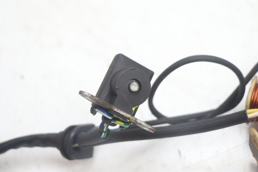 photo de ROTOR STATOR JM MOTORS EVOLIS 4T 50 (2018 - 2022) - Vista d'insieme del prodotto