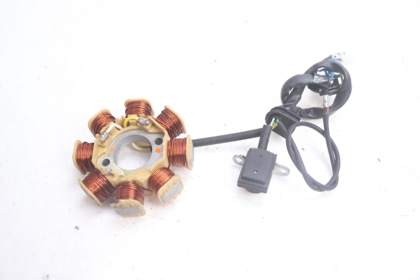 photo de ROTOR STATOR JM MOTORS EVOLIS 4T 50 (2018 - 2022) - Altra vista dell'articolo