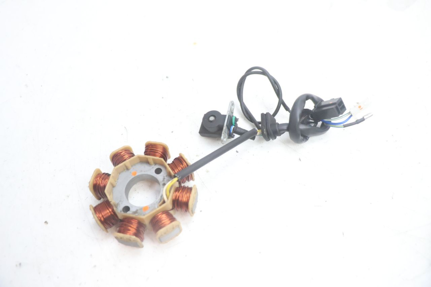 photo de ROTOR STATOR JM MOTORS EVOLIS 4T 50 (2018 - 2022) - Dettagli dei punti di fissaggio