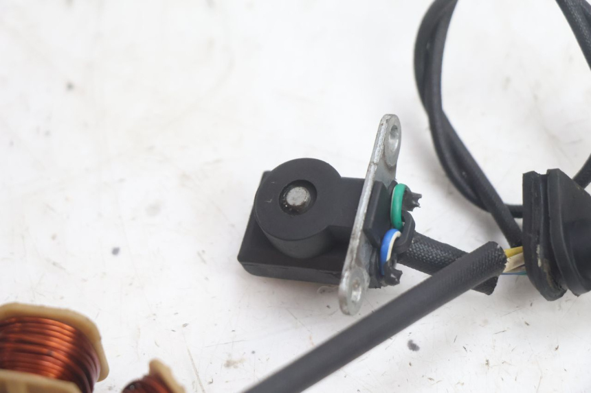 photo de ROTOR STATOR JM MOTORS EVOLIS 4T 50 (2018 - 2022) - Ricambio usato controllato
