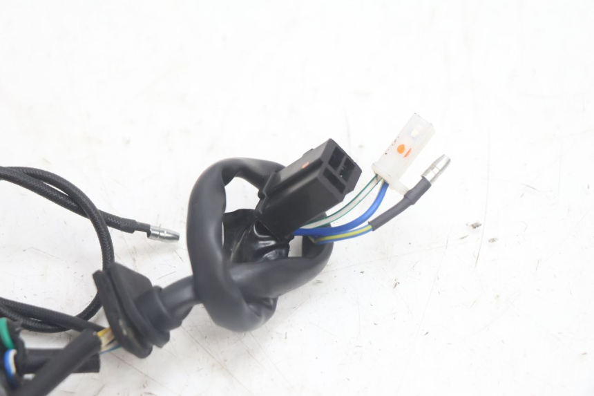 photo de ROTOR STATOR JM MOTORS EVOLIS 4T 50 (2018 - 2022) - Marcature e riferimenti originali