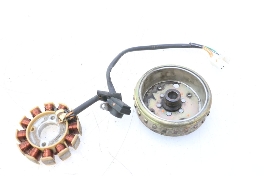 photo de STATORE JM MOTORS F45i 4T 50 (2020 - 2023) - Dettaglio del componente