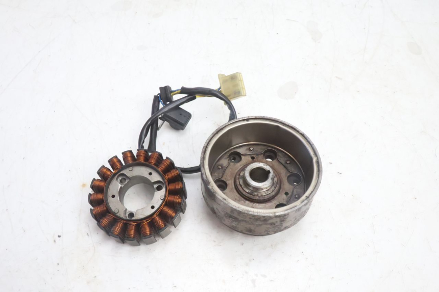 photo de STATORE HONDA FES PANTHEON 2T 125 (1998 - 2002) - Dettaglio del componente