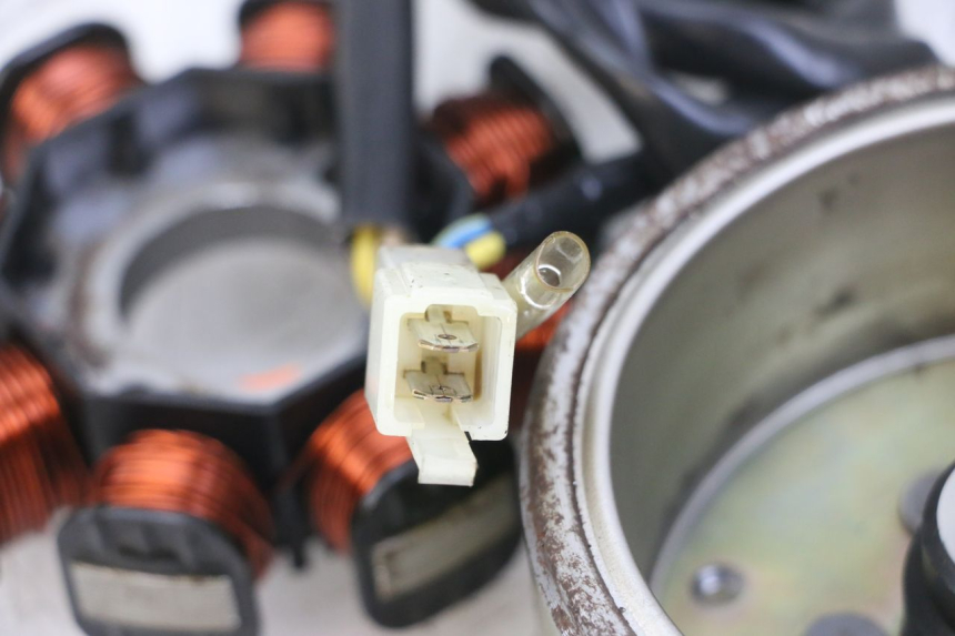 photo de STATORE GOES WIKI 125 (2010 - 2015) - Altra angolazione