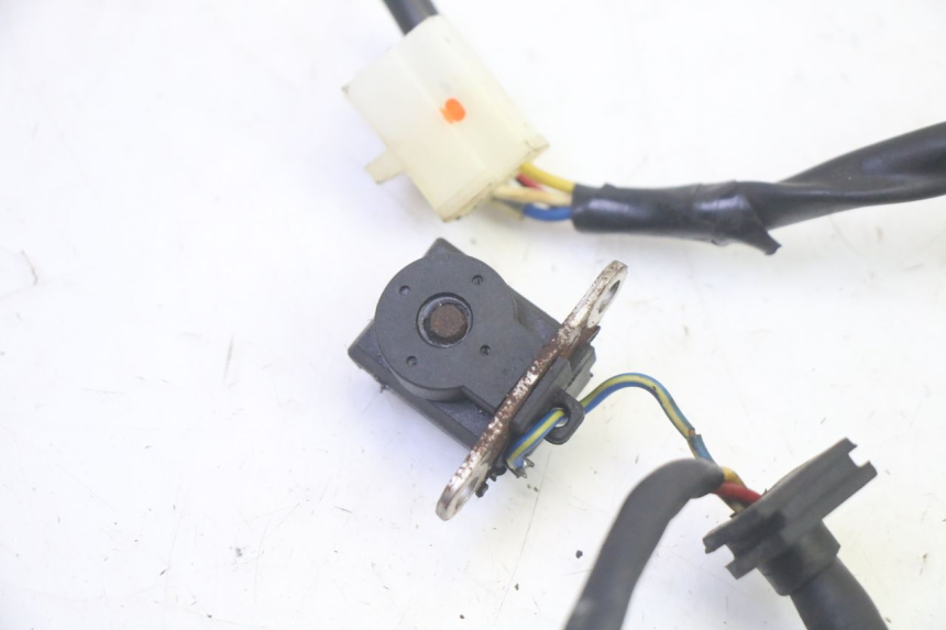 photo de STATORE EUROCKA GTR 50 (2018 - 2021) - Dettagli dei punti di fissaggio