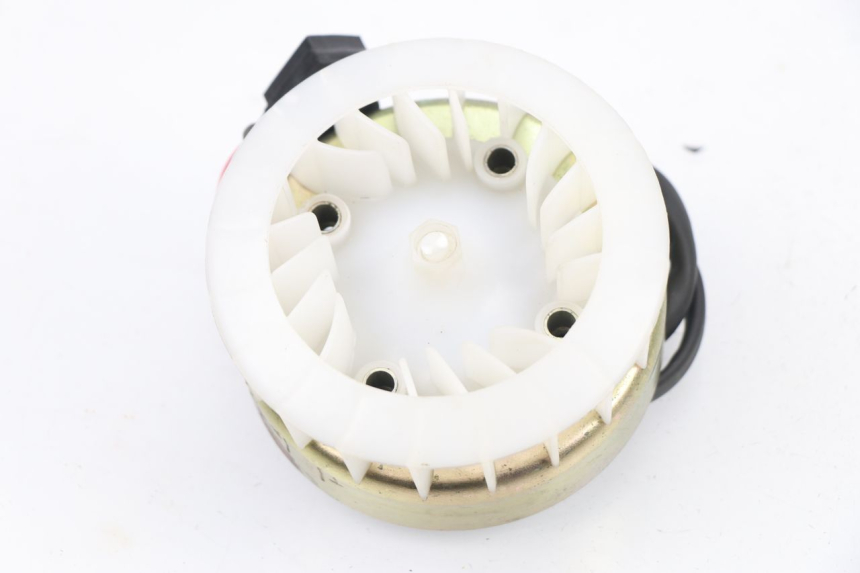 photo de ROTOR STATORE REVATTO JOYSTICK 50 (2006 - 2012) - Dettaglio del componente