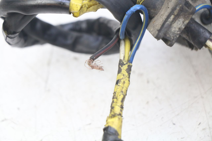 photo de ROTOR STATOR PEUGEOT LUDIX 50 (2005 - 2007) - Vista d'insieme del prodotto