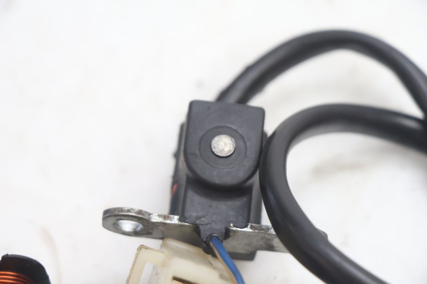 photo de STATORE PEUGEOT LUDIX ONE 14P 50 (2004 - 2013) - Marcature e riferimenti originali