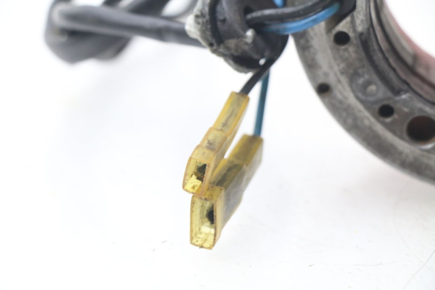 photo de ROTOR STATORE MAICO MX 320 (1993 - 1994) - Dettagli dei punti di fissaggio