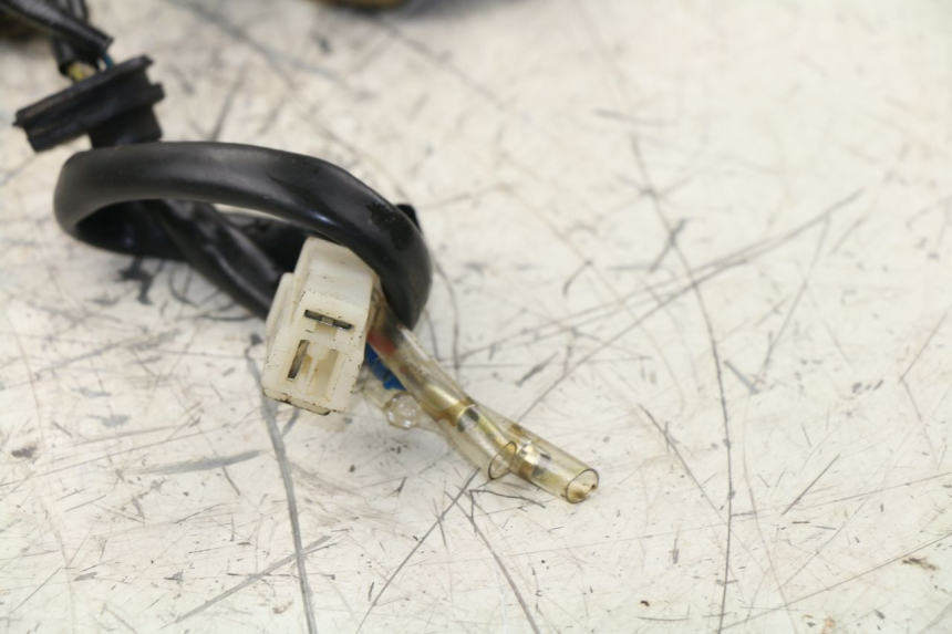 photo de Rotore Statore ZNEN NEW ROLANDO 50 (2010 - 2020) - Altra angolazione